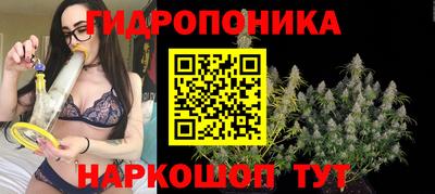 ALPHA PVP Анжеро-Судженск
