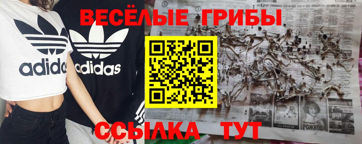 Галлюциногенные грибы MAGIC MUSHROOMS  Вход с VPN  Тихвин  Галлюциногенные грибы MAGIC MUSHROOMS 